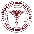 Shaheed zulfiqar Ali Bhutto Medical University Islamabad Jobs 2023