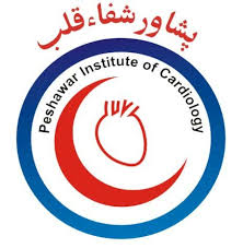 Peshawar Institute of Cardiology MTI Jobs 2024