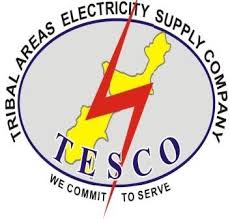 Tribal Area Electric Supply Company Peshawar Jobs 2022
