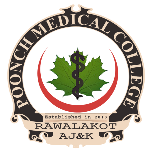 Poonch Medical College Rawalakot Jobs 2024 